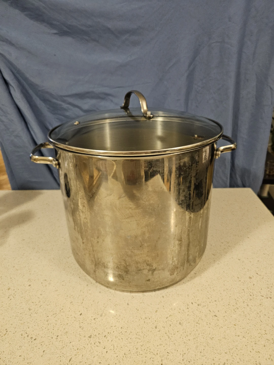 Mastercraft 16 Quart Stainless Steel Stock Pot with Lid