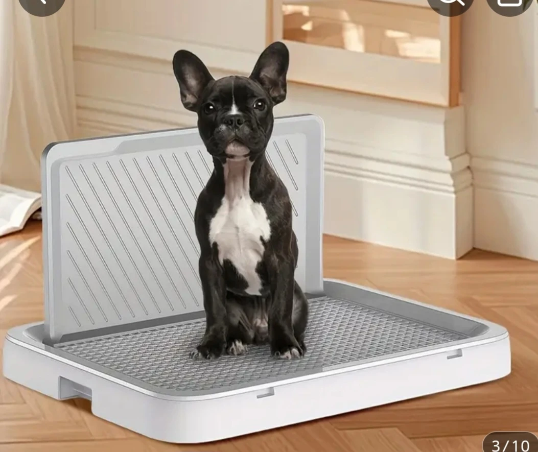 Pet Potty Training Tray - photo 2