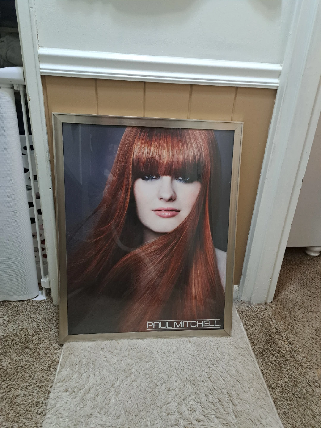 Paul Mitchell Framed Poster