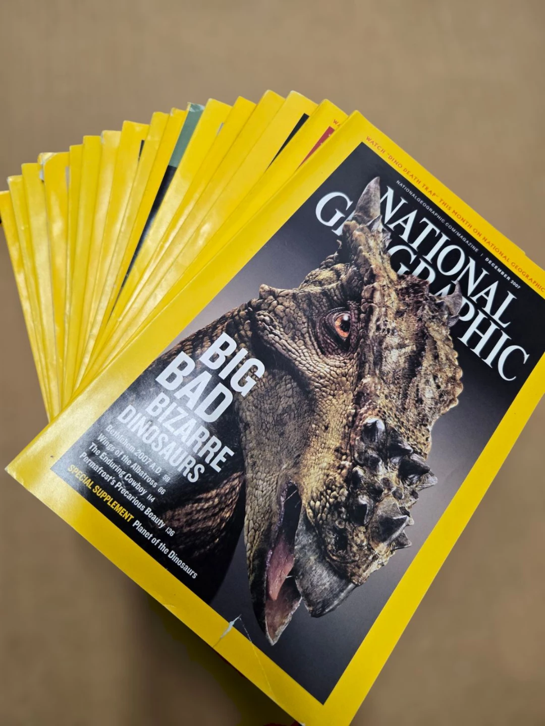 National Geographic Magazine Collection - photo 2
