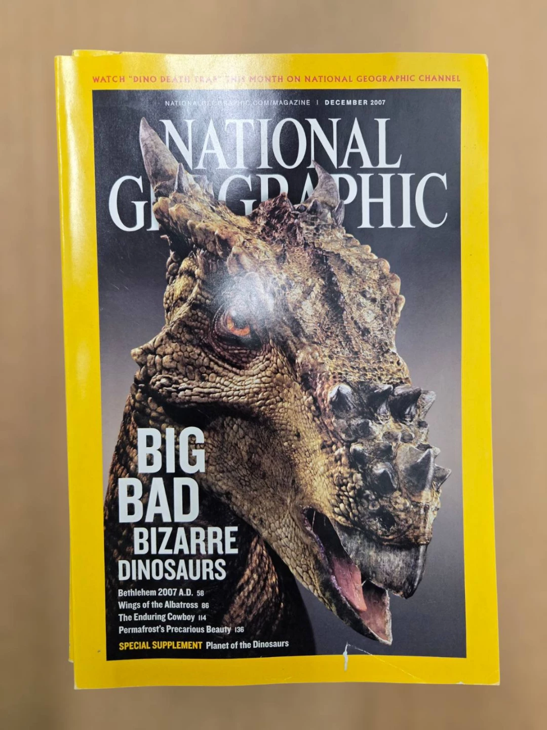 National Geographic Magazine Collection - photo 3