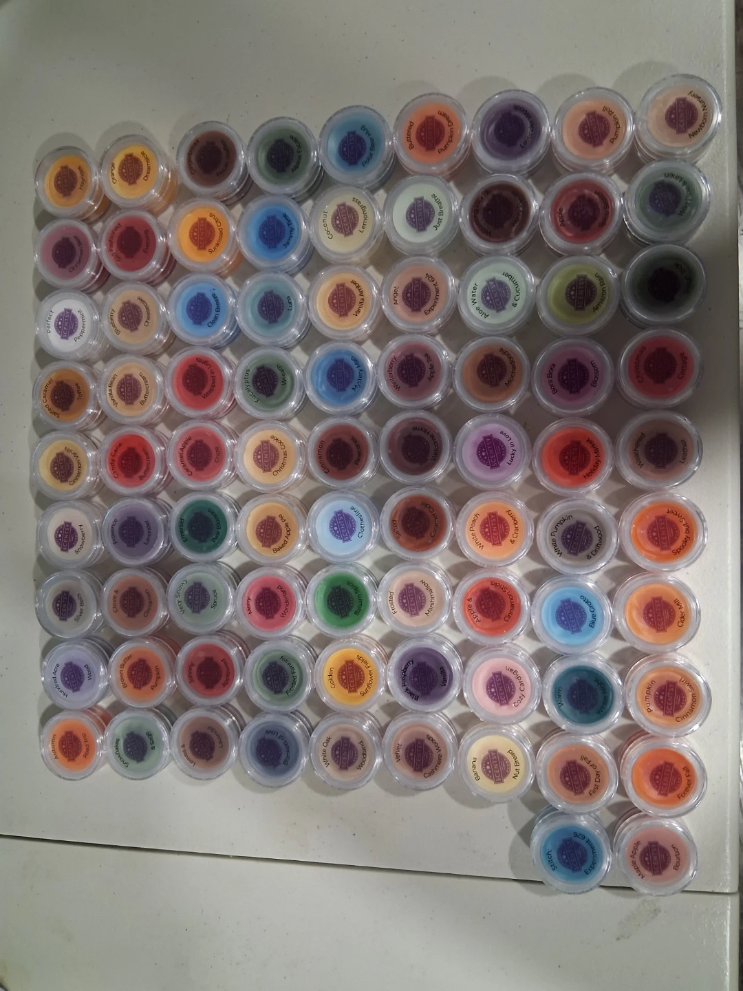 Scentsy Wax Melts Collection with Carrying Bag