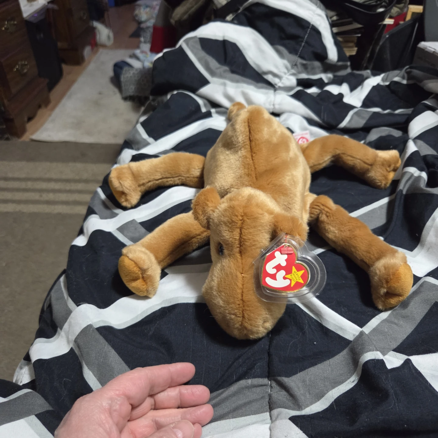 Ty Beanie Baby Camel - 1998