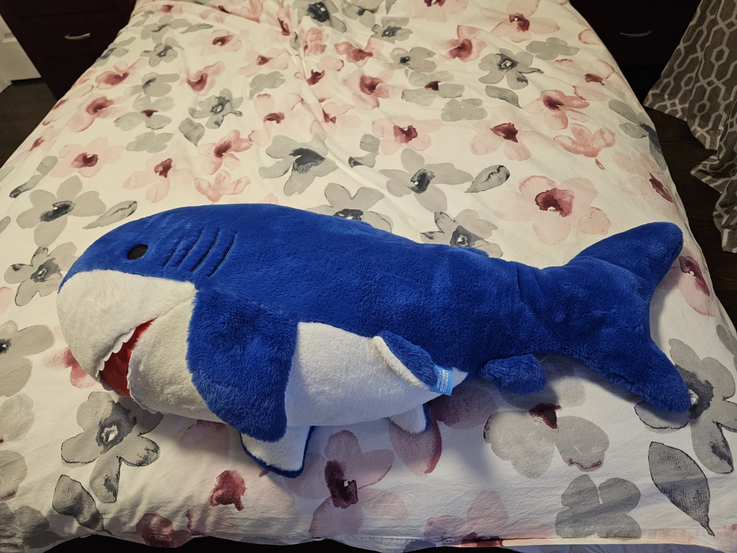 Blue Plush Shark Stuffed Animal