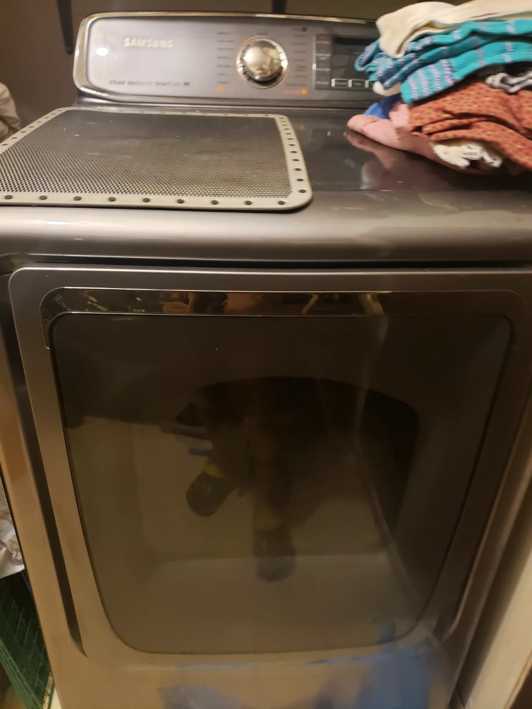 Samsung Steam Dryer