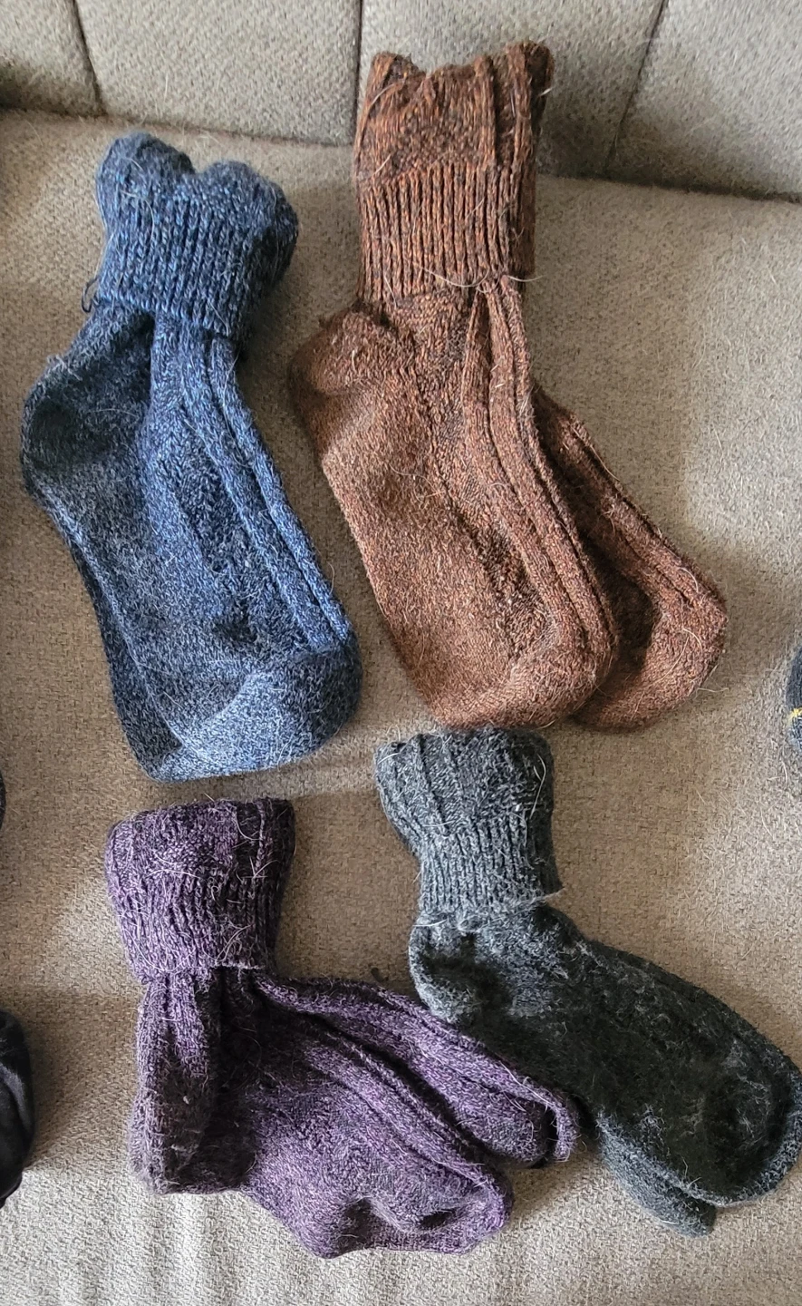 FREE 8 pairs of socks