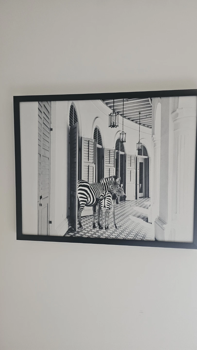 Framed Zebra Print Wall Art