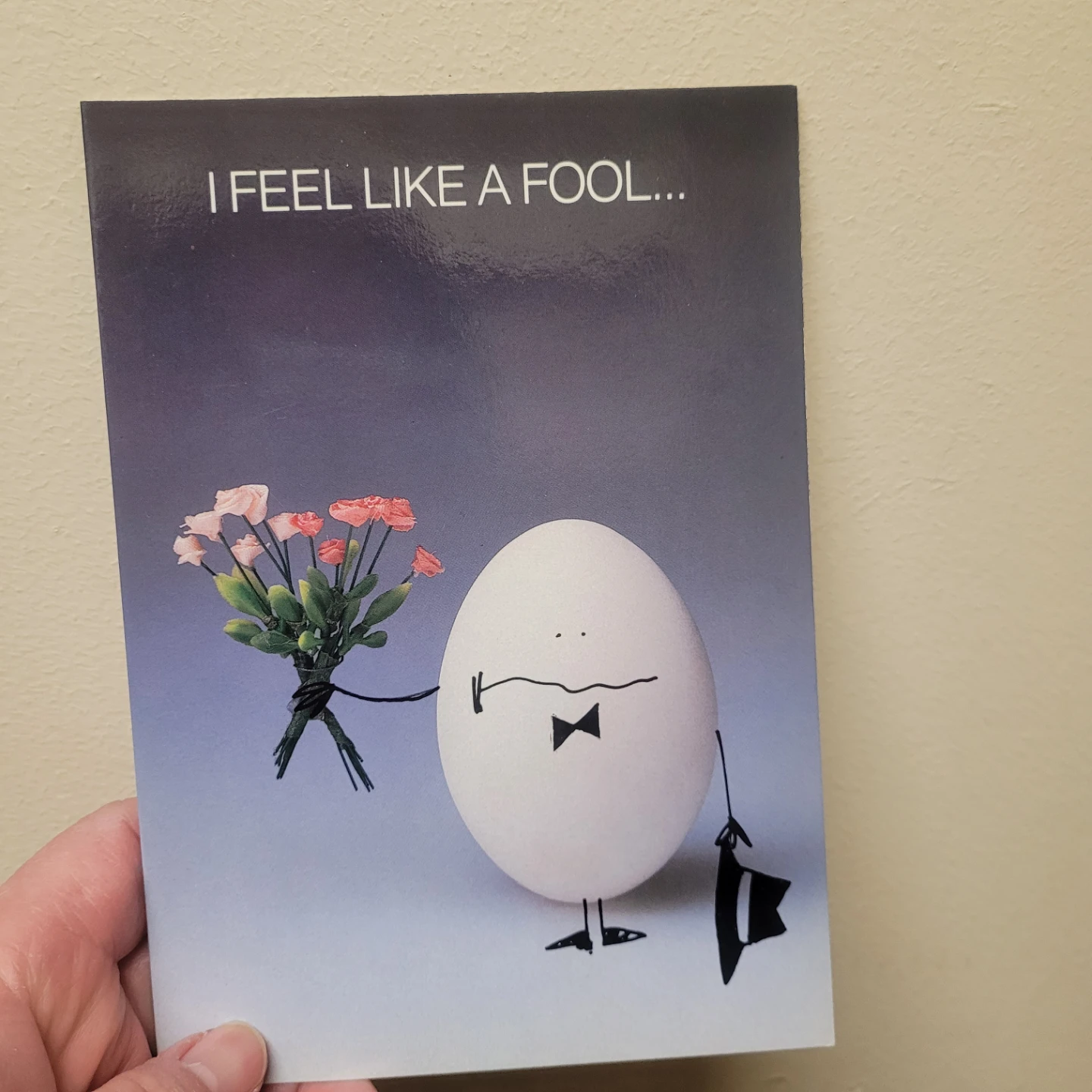Funny Egg Greeting Card Lot
