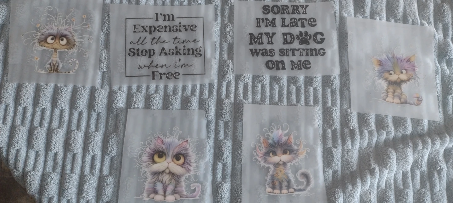 Heat Transfer Vinyl Appliques - Funny Cat & Quote Designs