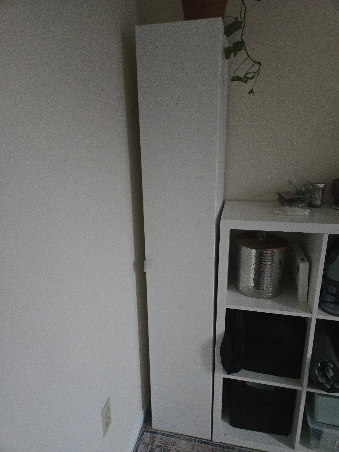 Ikea pax storage cabinet 🥕