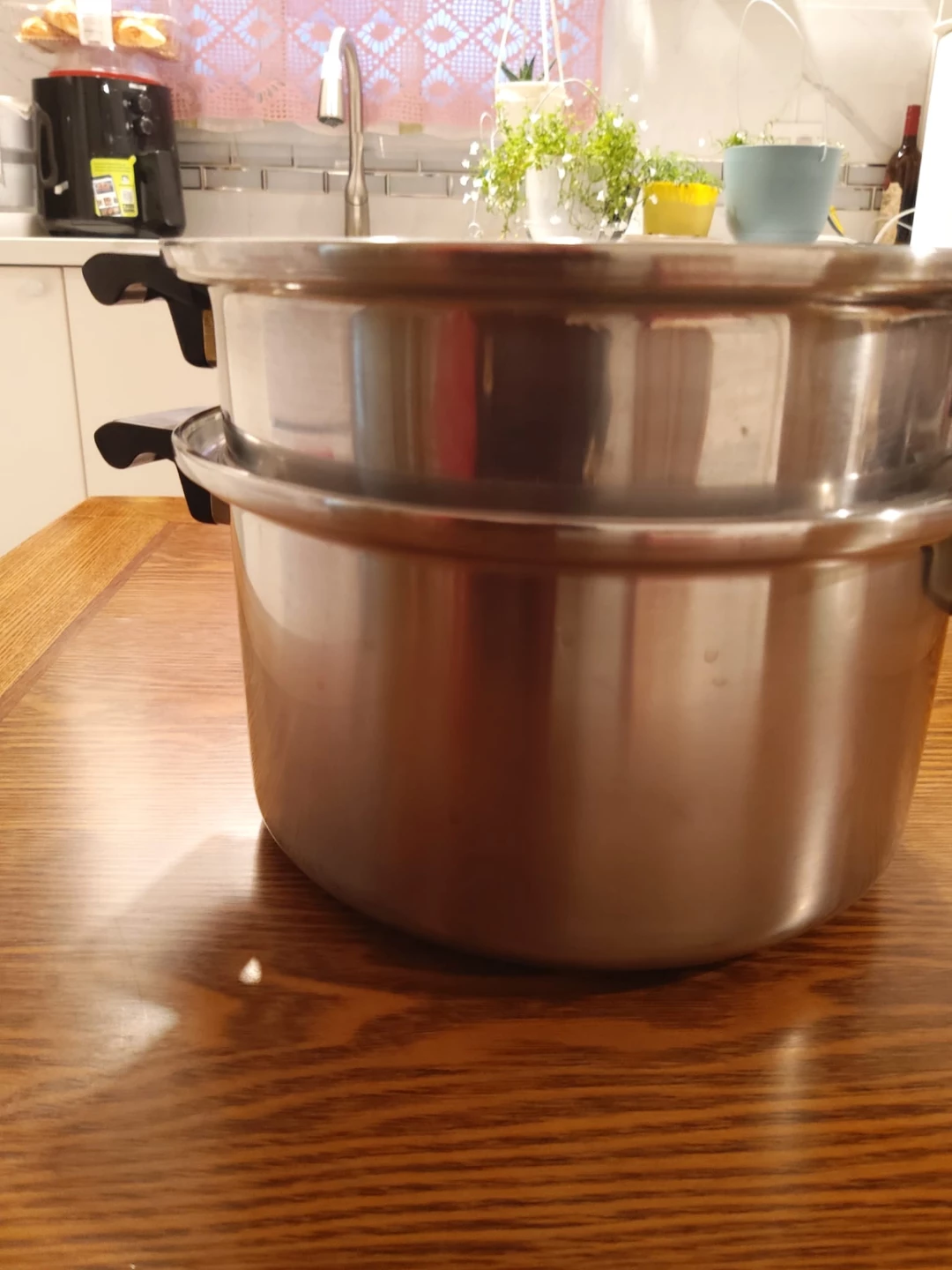 Stainless Steel Steamer Pot
