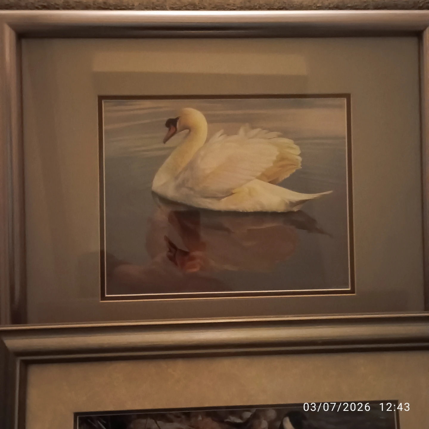 Framed Art Print