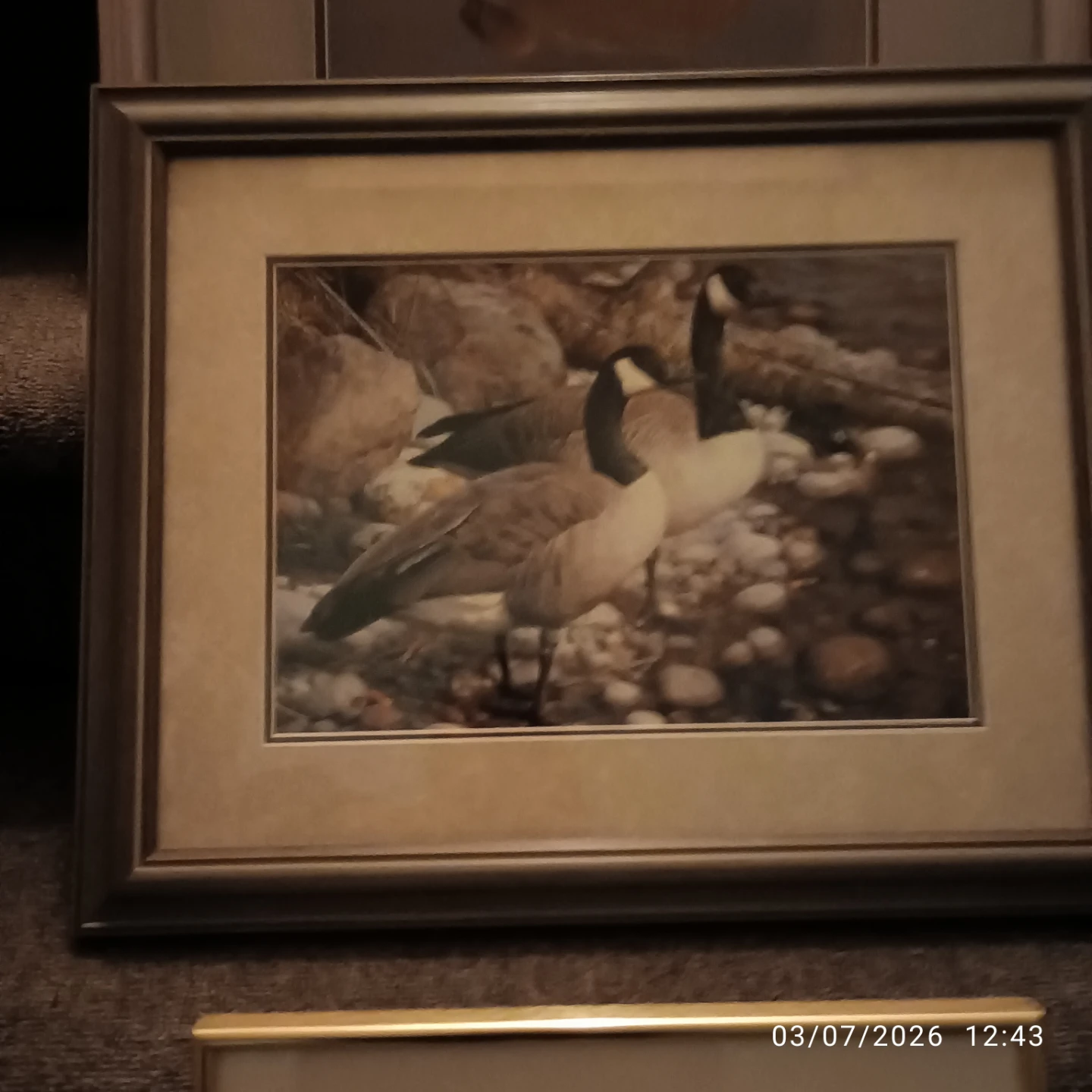 Framed Art Print - photo 2