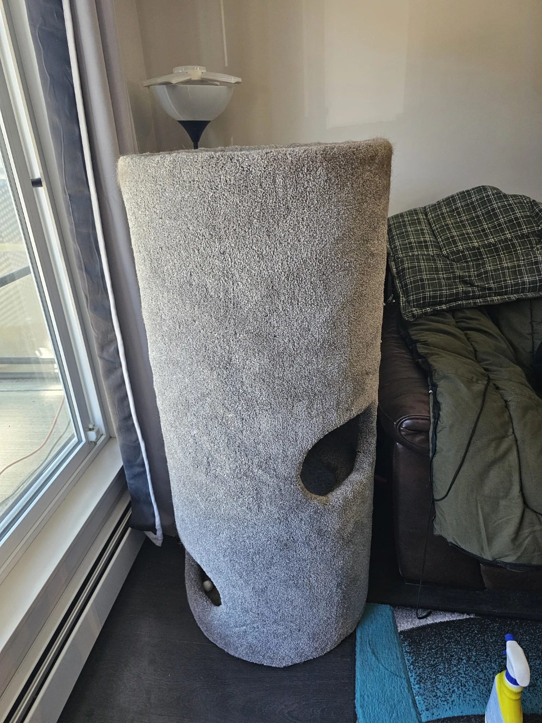 Carpeted Cat post