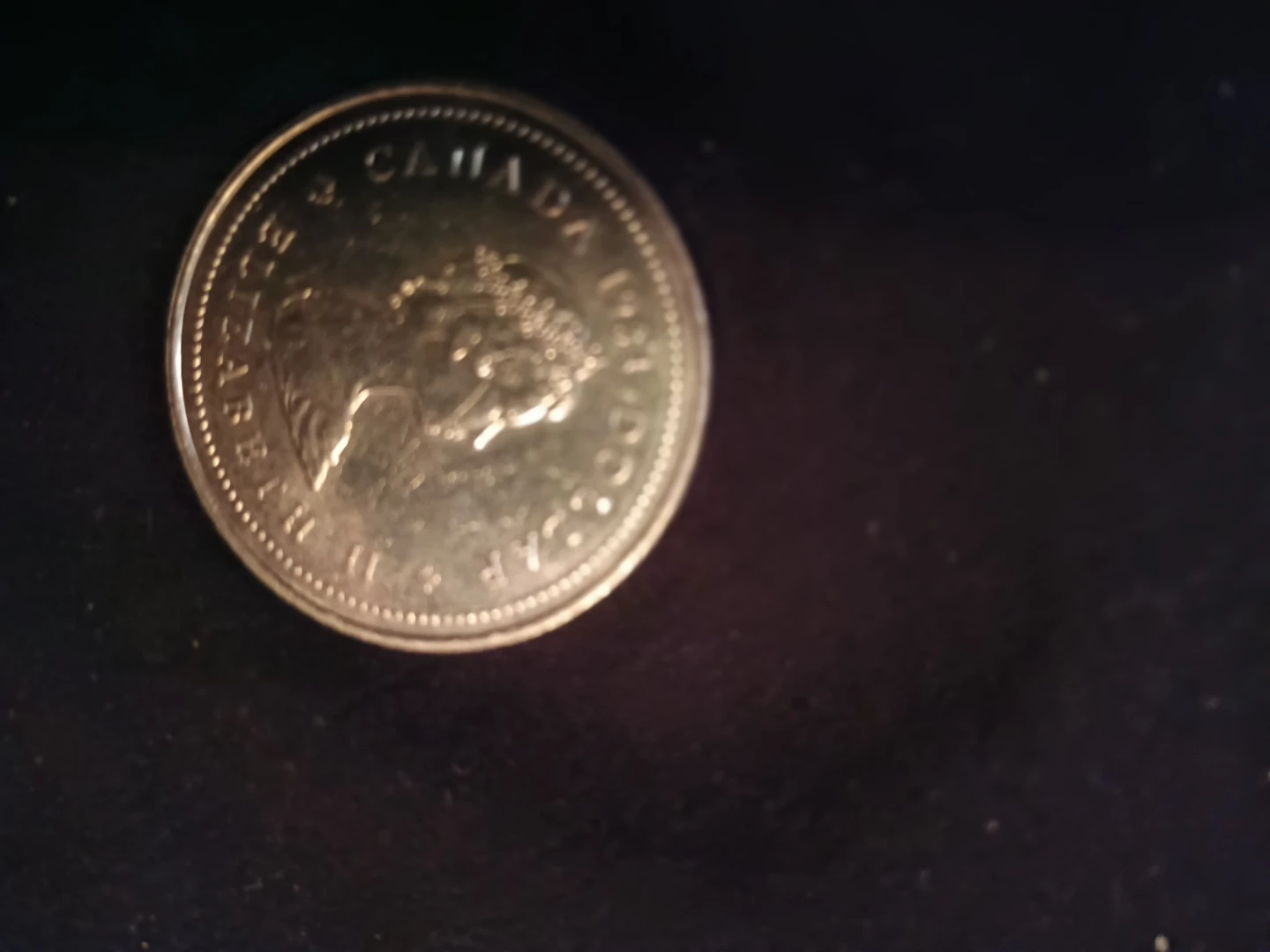 1981 Canada Dollar Coin - photo 4