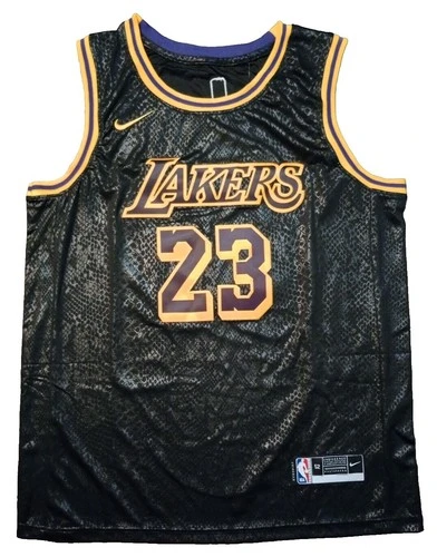Nike LeBron James Los Angeles Lakers NBA Jersey - photo 2
