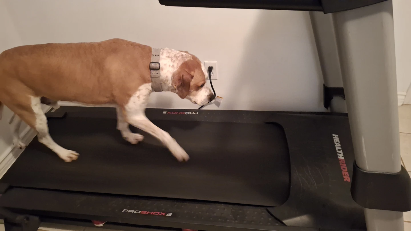 HealthRider ProShox 2 Treadmill - photo 4