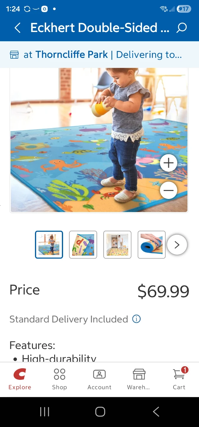 Eckhert Double-Sided Play Mat