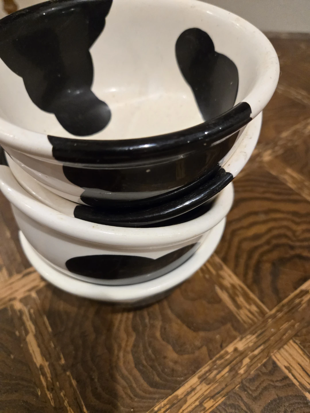 Cow - photo 2