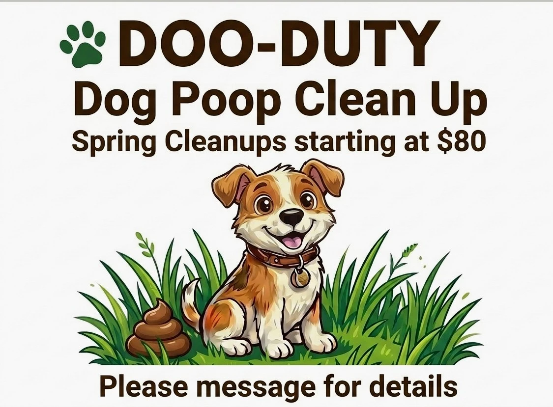 Dog Poop Yard Clean Up