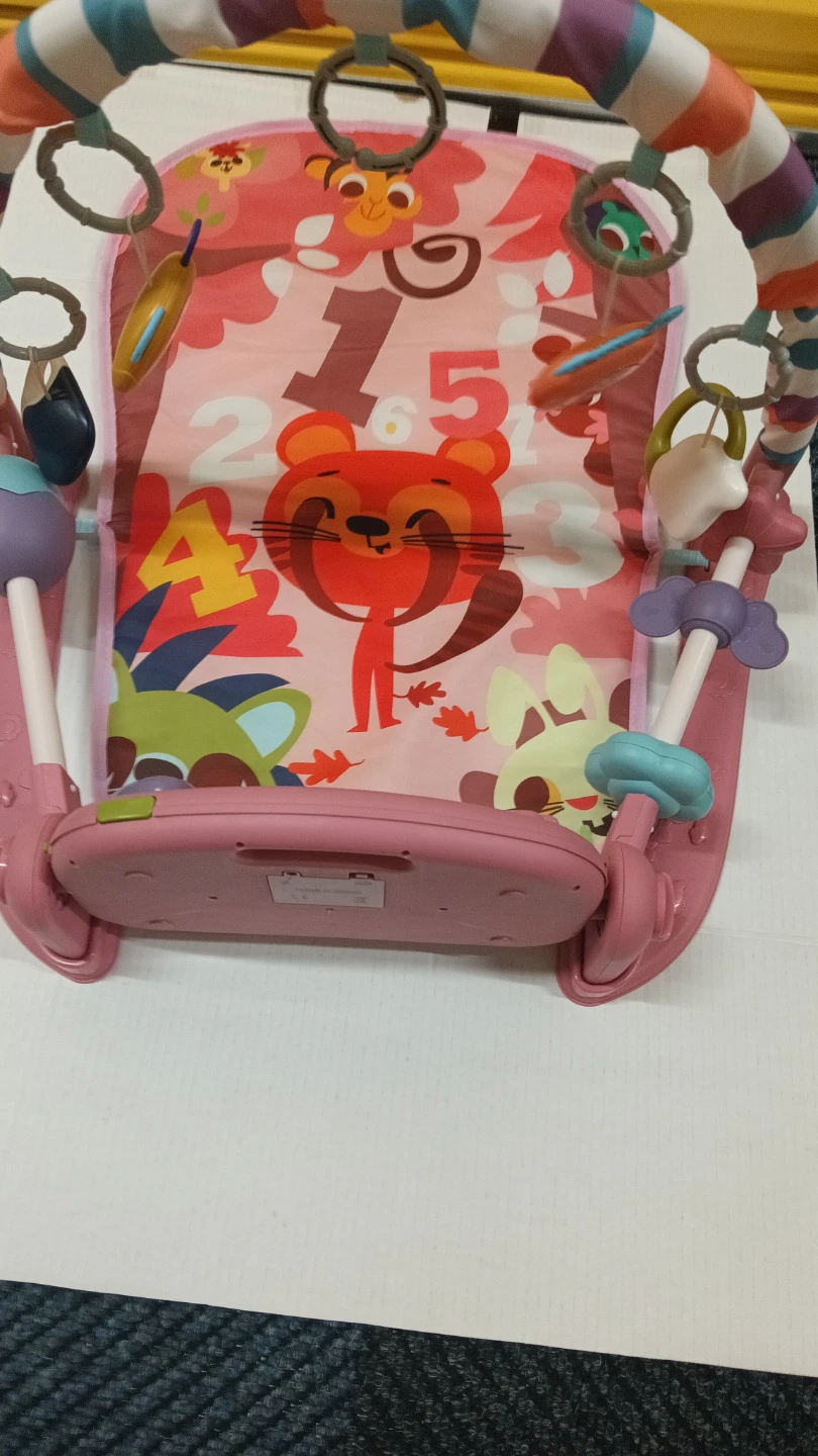 Baby Play Gym Activity Center