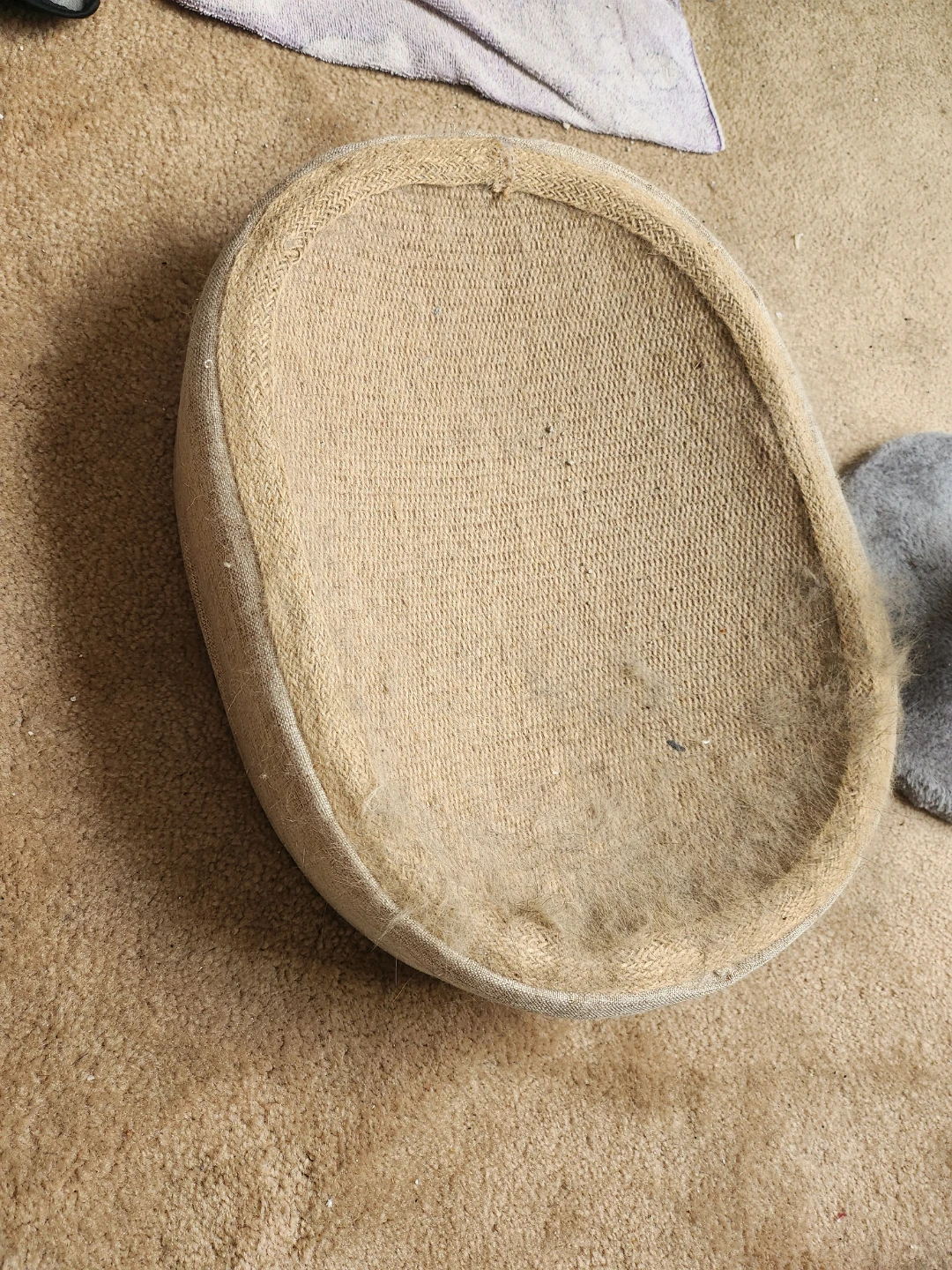 Cat Tree with Scratching Post and Cat Bed with Scratch Material - photo 3