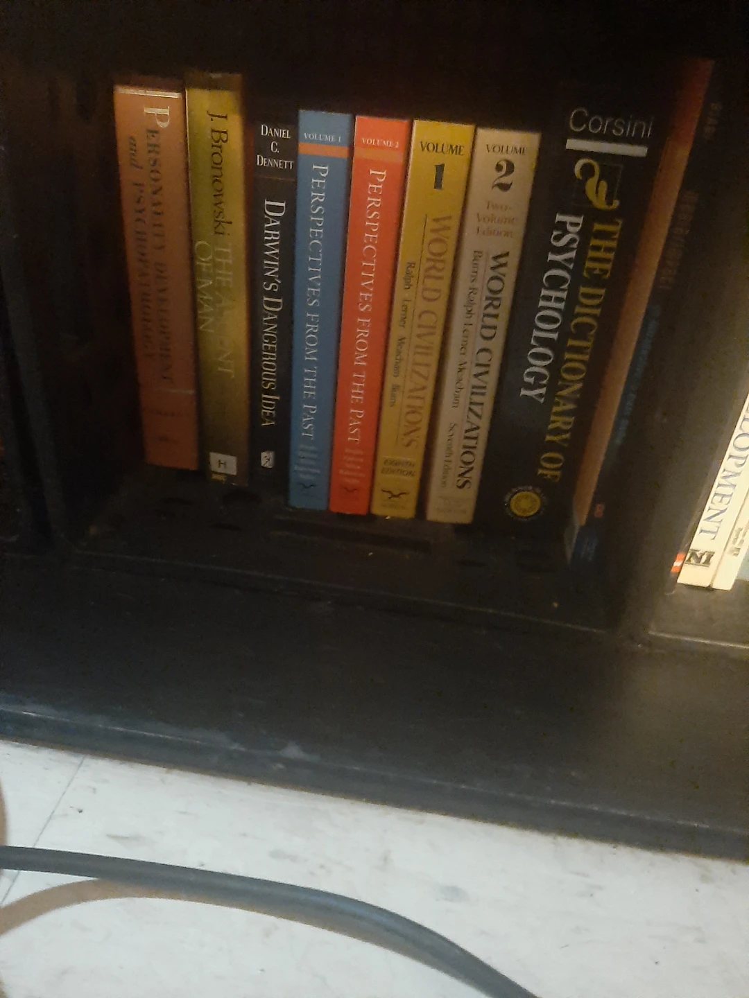 Assorted Psychology, Politics, Law, and Economics Textbooks - photo 2