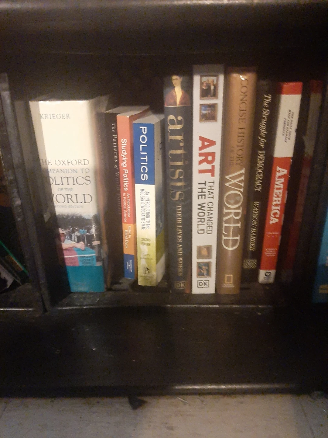 Assorted Psychology, Politics, Law, and Economics Textbooks - photo 3