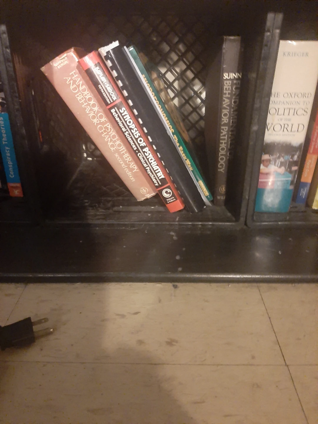 Assorted Psychology, Politics, Law, and Economics Textbooks - photo 4