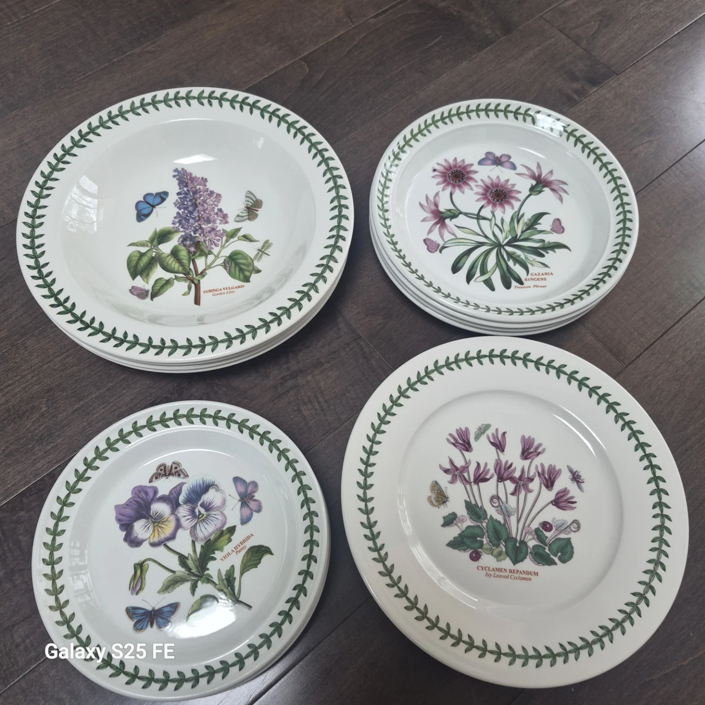 Portmeirion Botanical Garden Plates Set