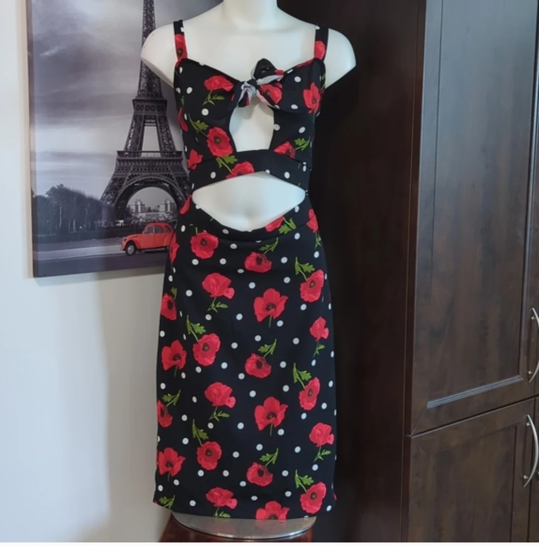 Daylight Black Poppy & Polka Dot Dress