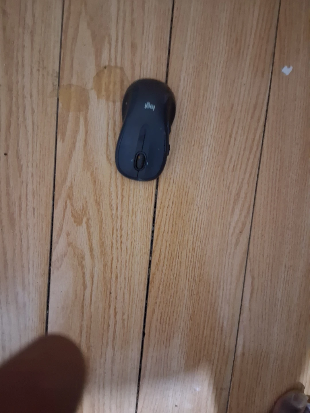 Logitech Wireless Mouse