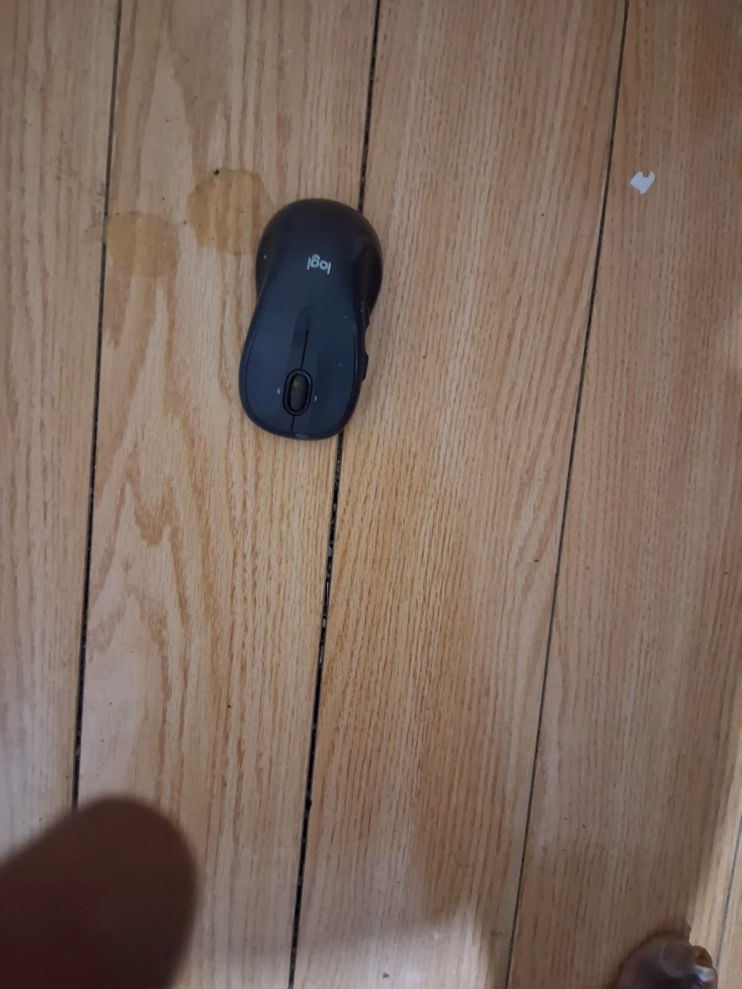 Logitech Wireless Mouse - photo 2