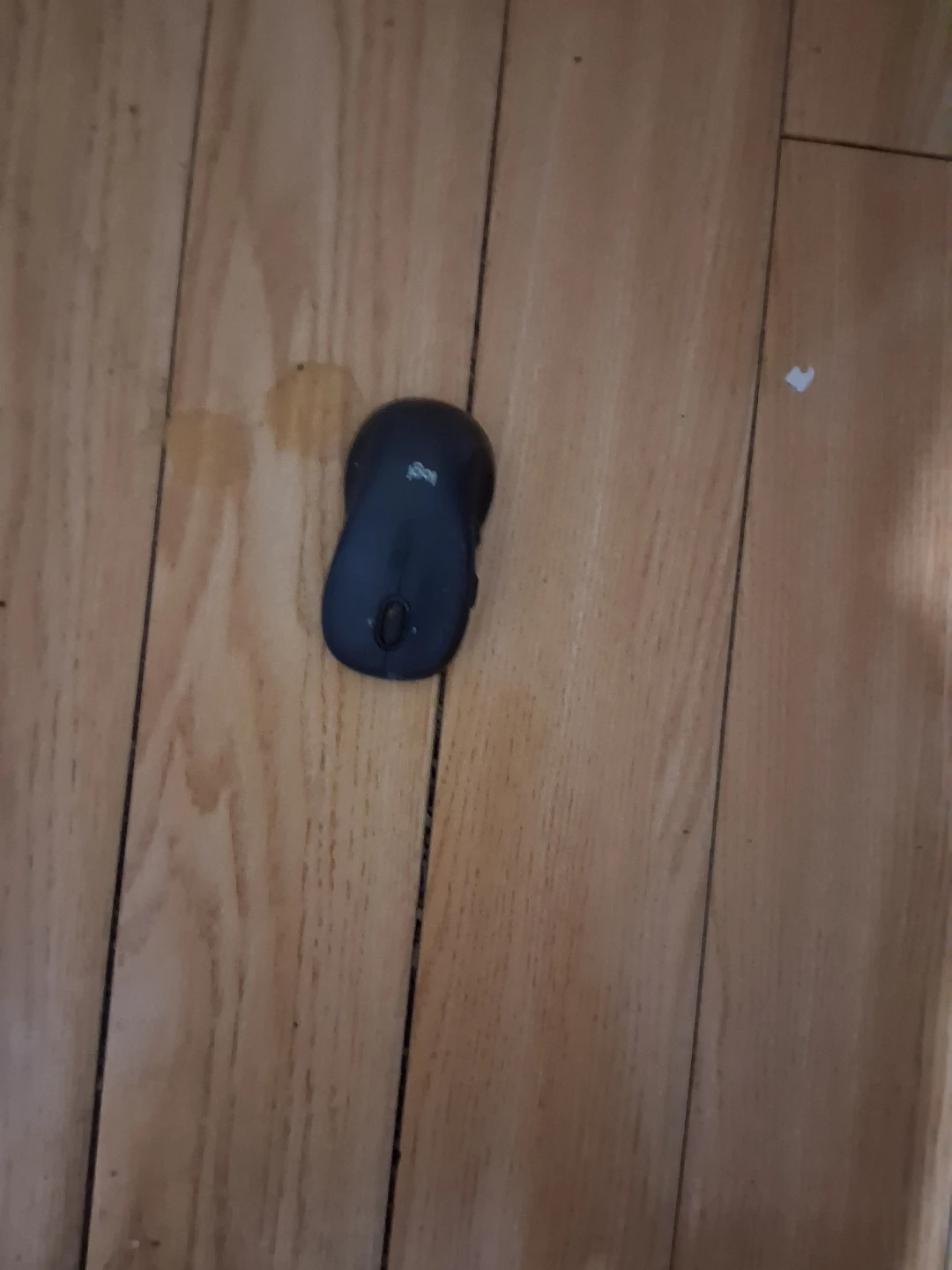 Logitech Wireless Mouse - photo 3