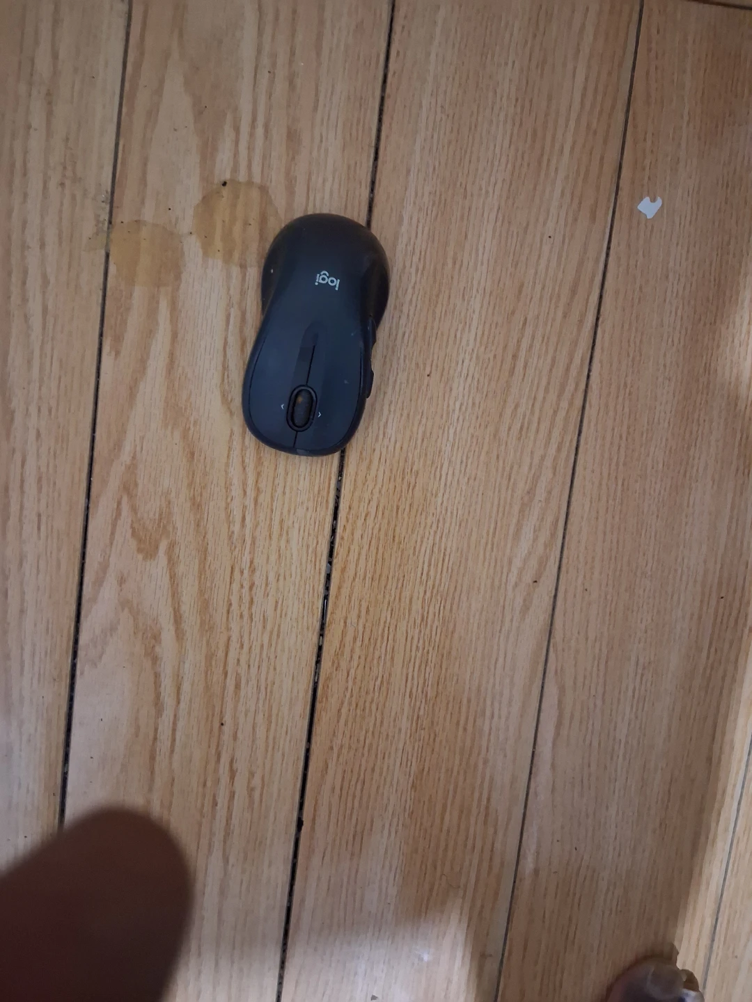 Logitech Wireless Mouse - photo 4