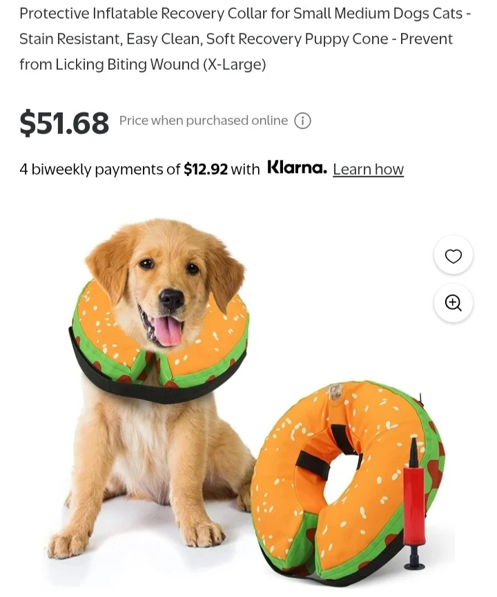 NEW!  Inflatable Recovery Collar for Pets 🧡 - photo 2