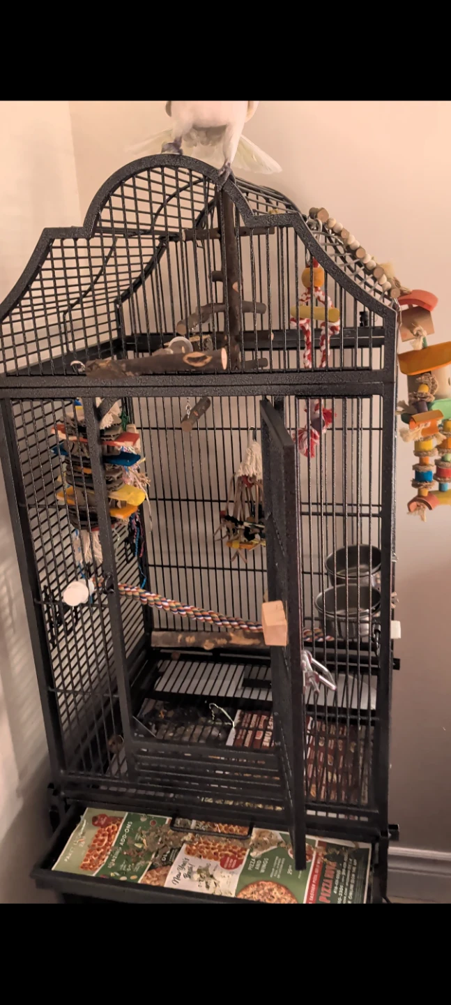Large Bird Cage