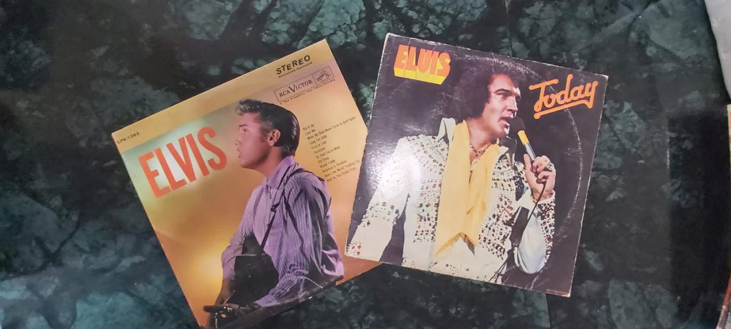 Elvis Presley & The Everly Brothers Vinyl Records Collection