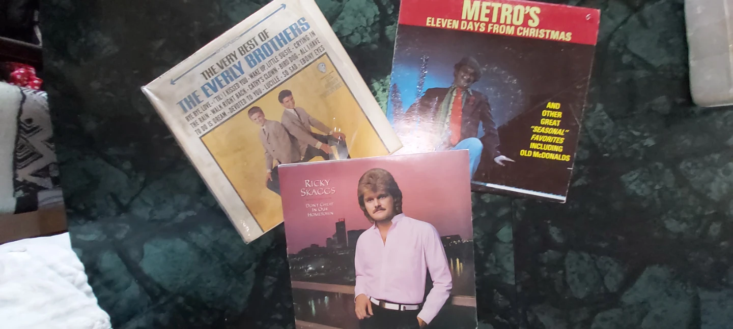 Elvis Presley & The Everly Brothers Vinyl Records Collection - photo 5