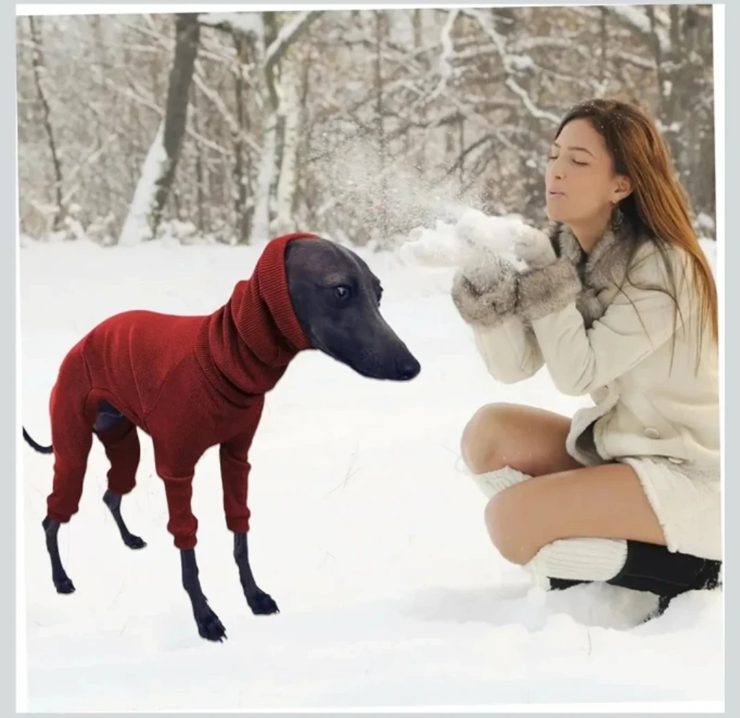 Cozy Dog Jumpsuit Onesie Red Size Medium - photo 2