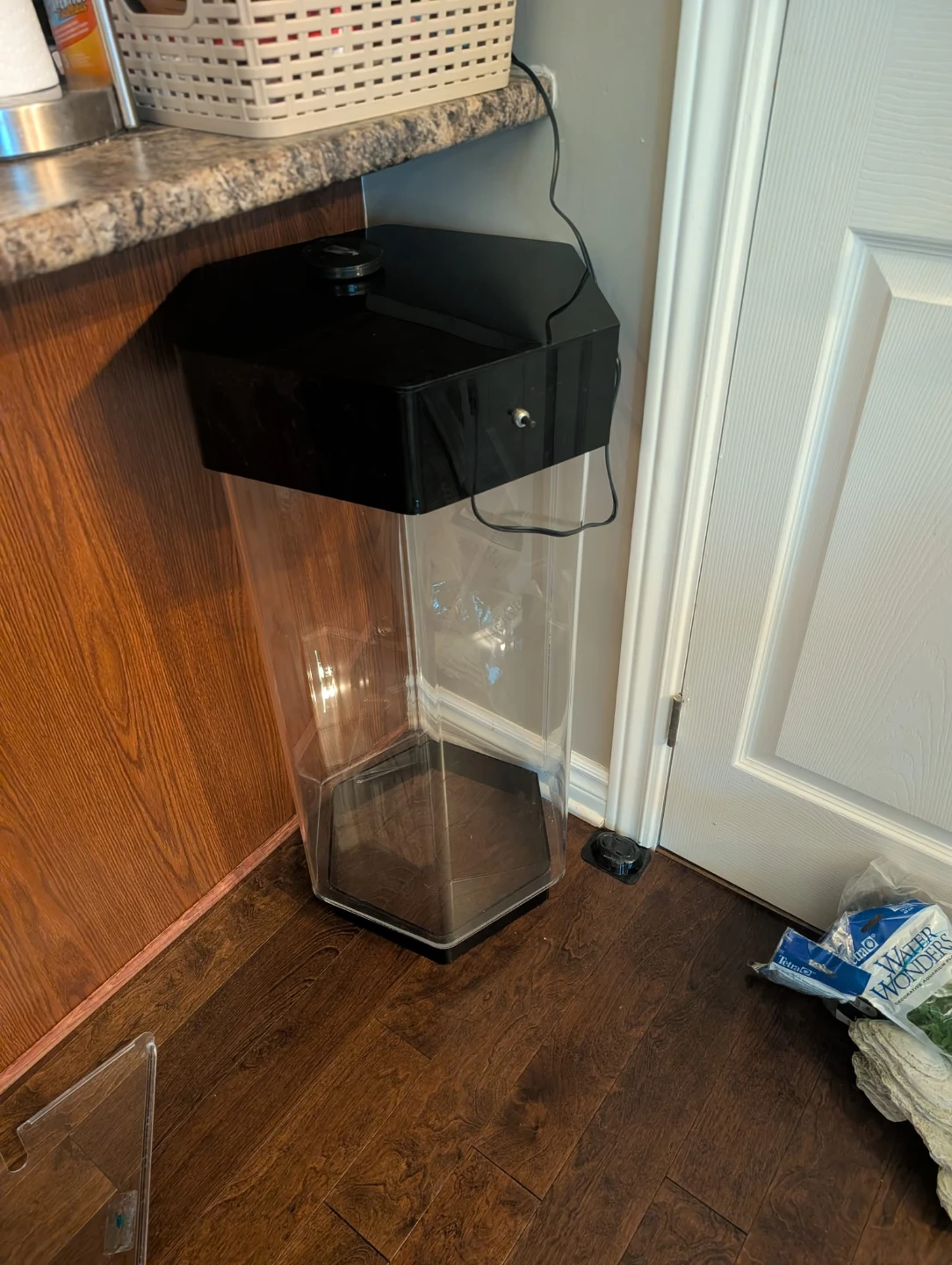 12-Gallon Hexagon Fish Tank + NEW GloFish Starter Kit