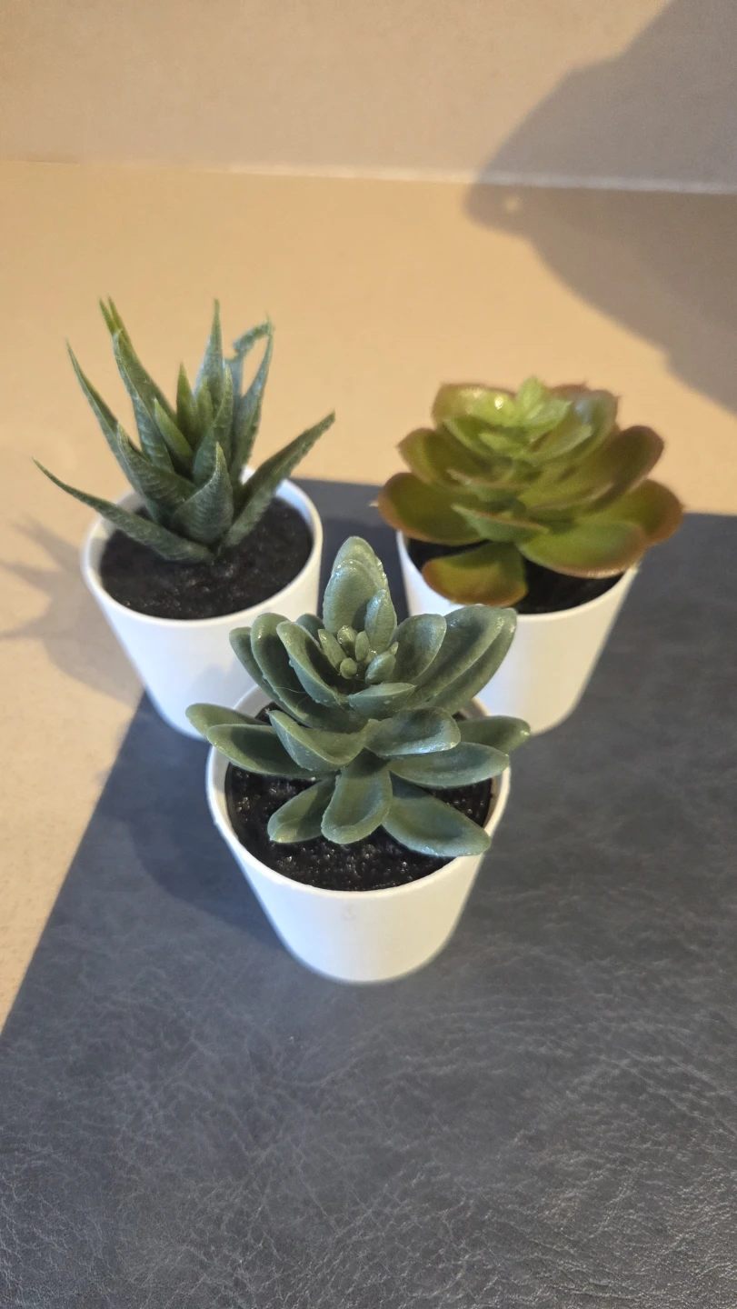 Set of 3 Small Faux Succulent Plants