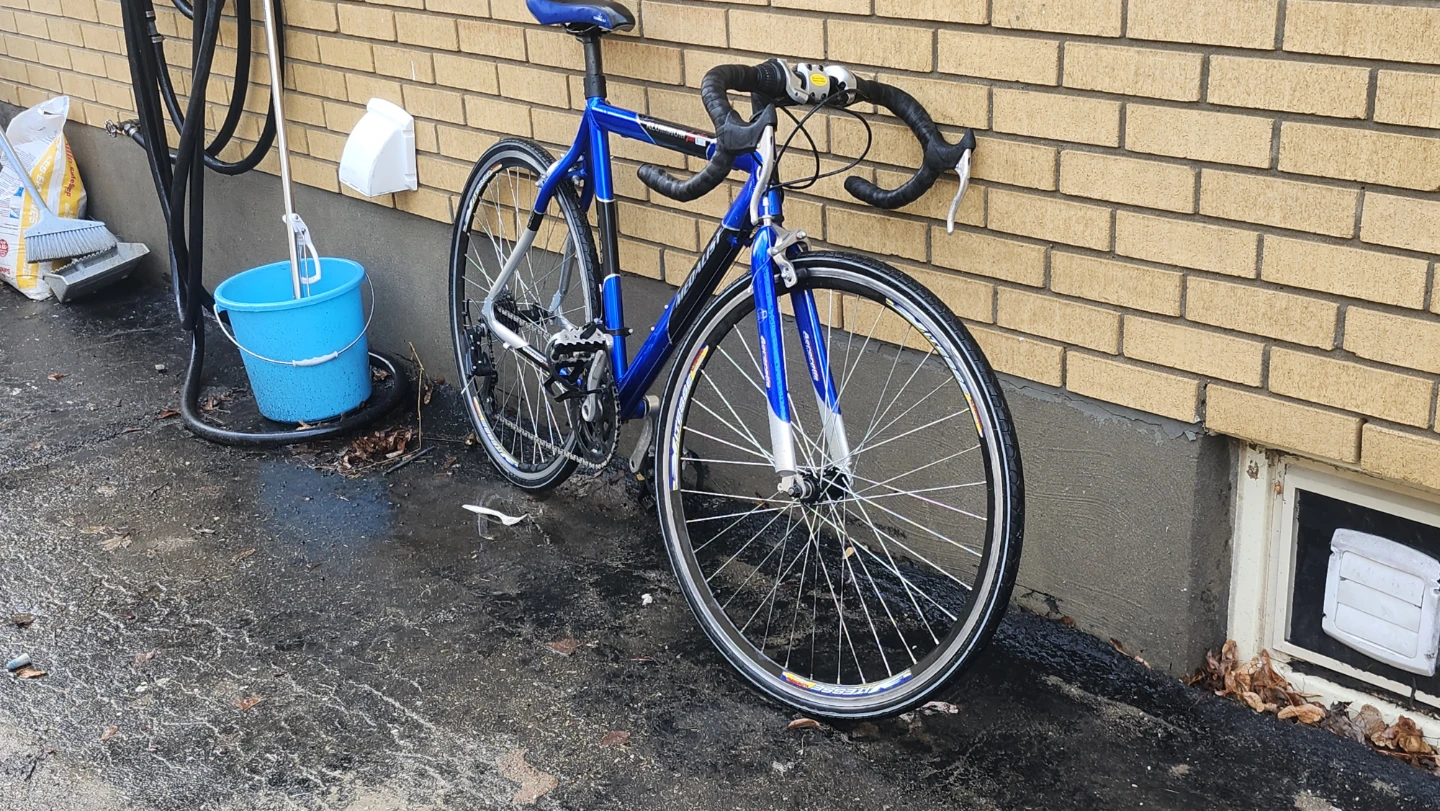 Medalist roadbike 2018
