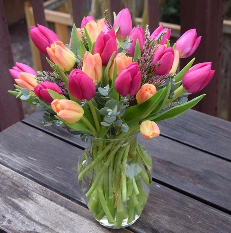Beautiful Bouquet of Tulips