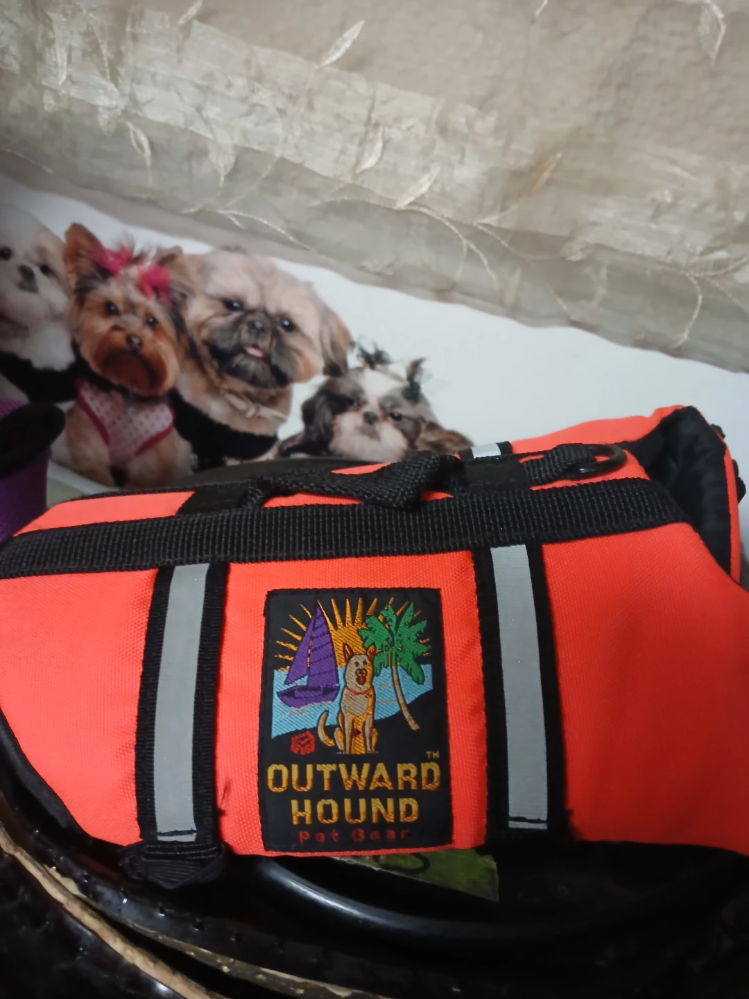 Outward Hound Pet Gear Dog Life Vest