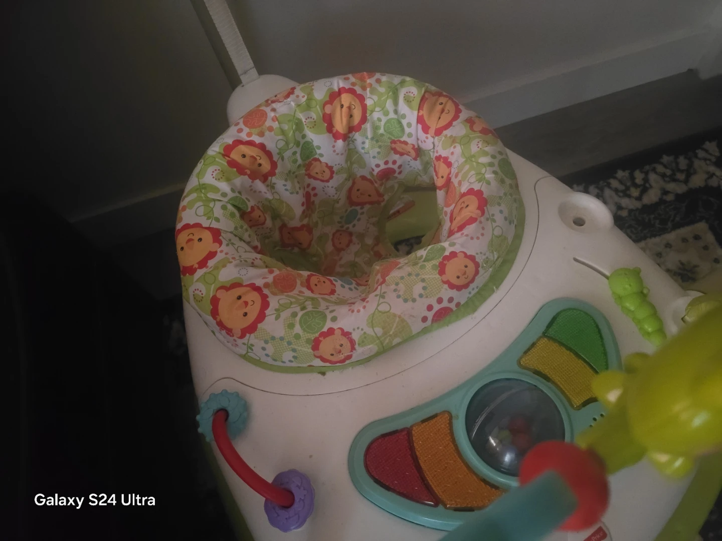 Fisher-Price Jumperoo Baby Bouncer - photo 3