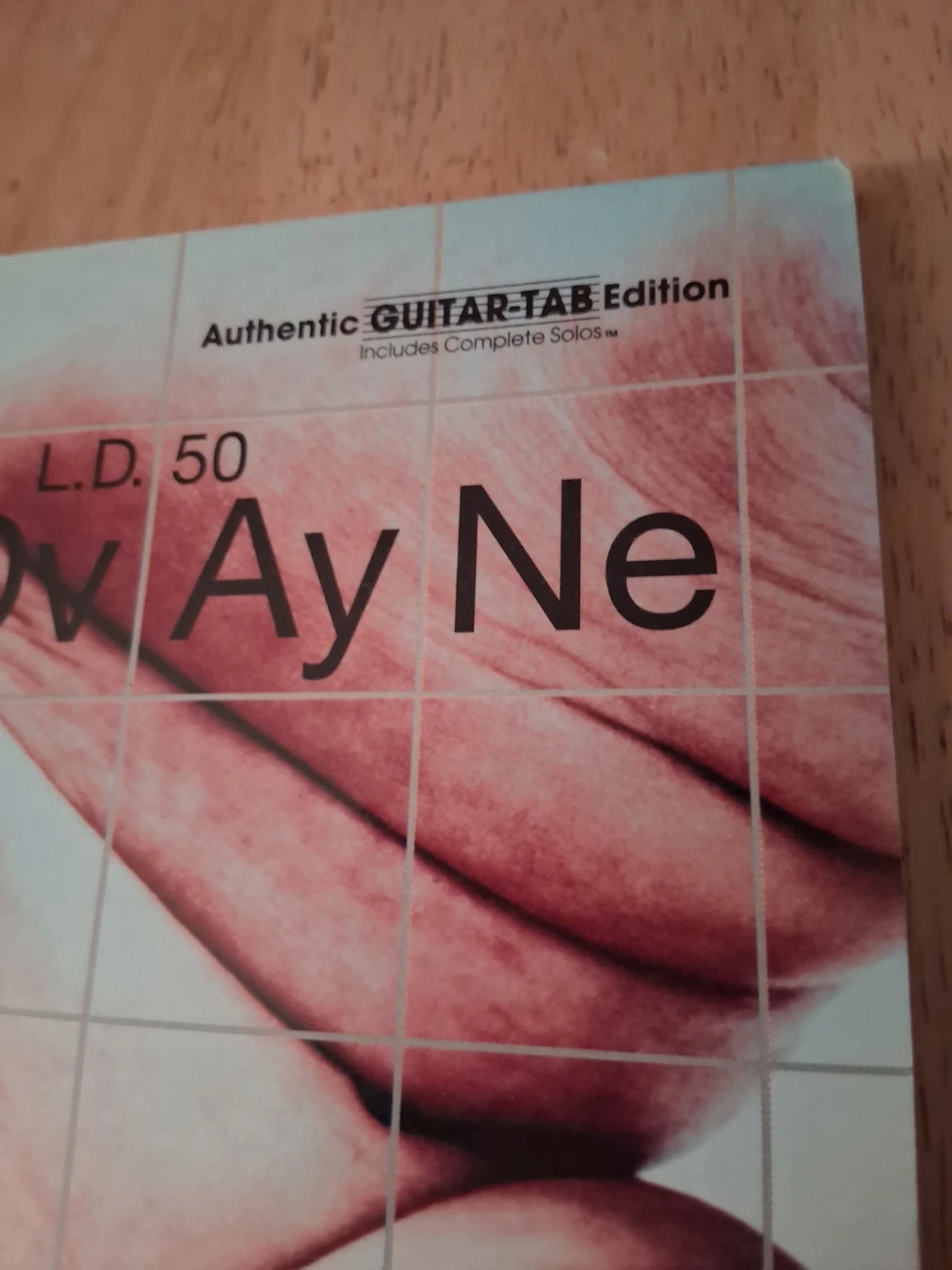 MUDVAYNE L.D. 50 Guitar Tab Book - photo 2