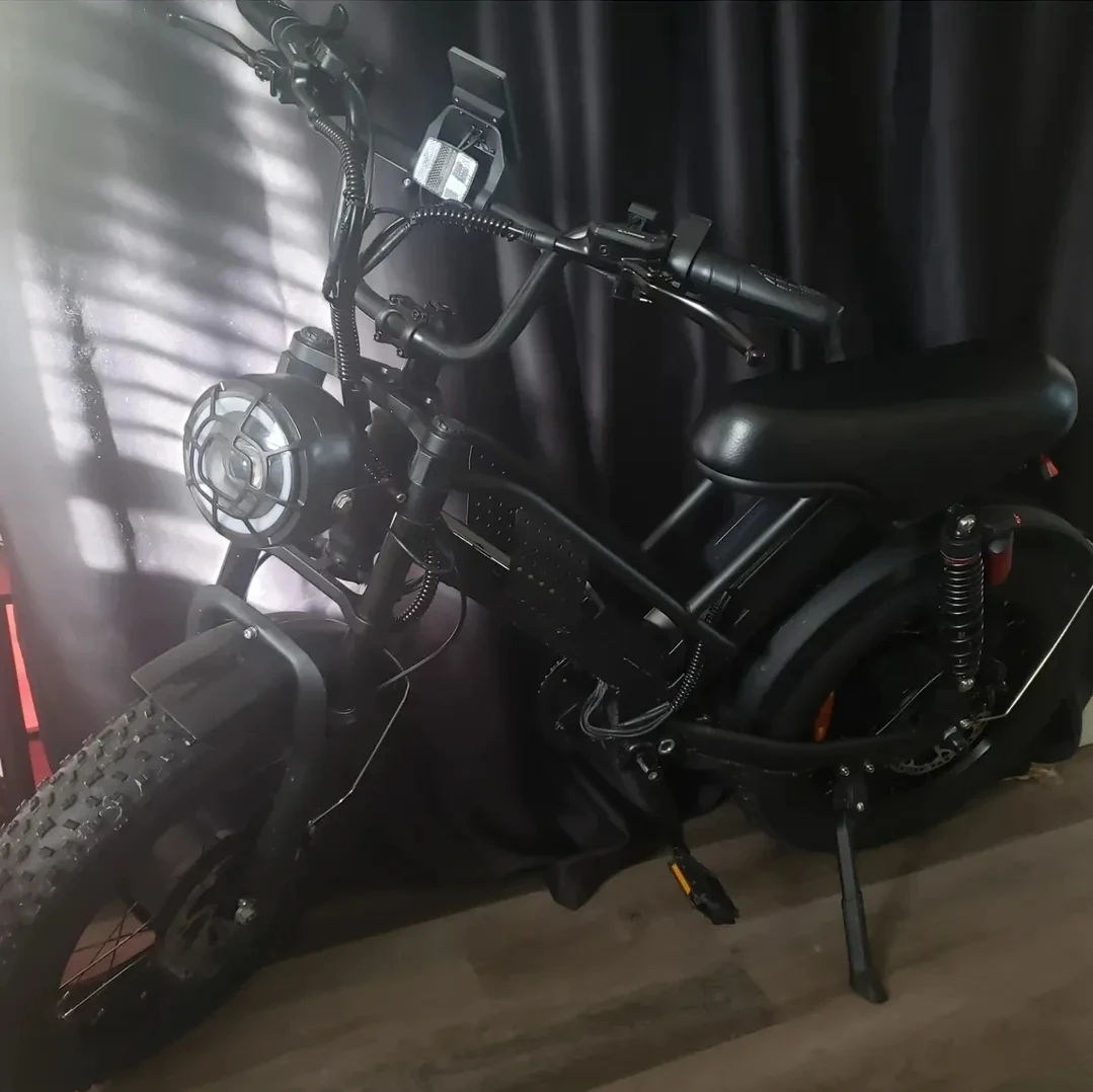 Electric Bike