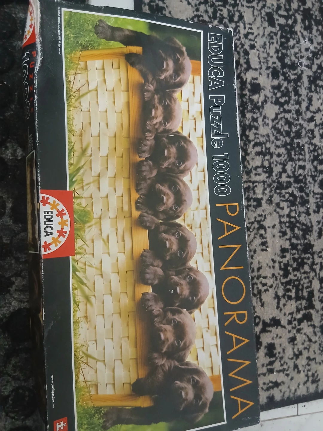 Educa Panorama 1000 Piece Puzzle