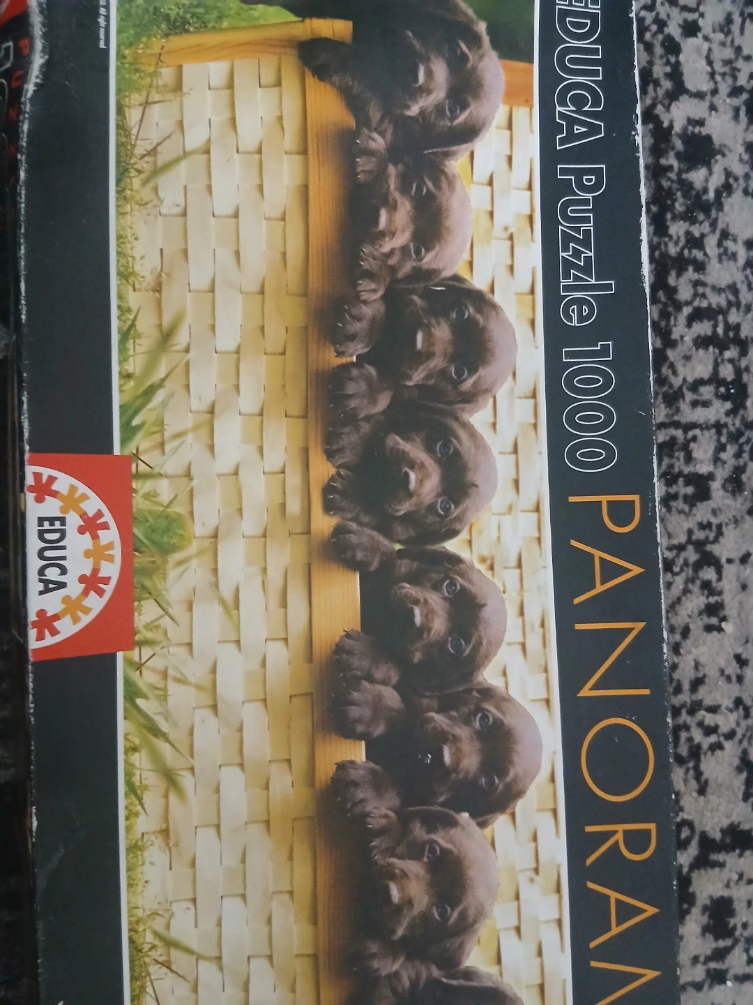 Educa Panorama 1000 Piece Puzzle - photo 2